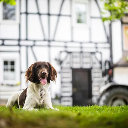Hof Koehne - Hexenhaus שמאלנברג