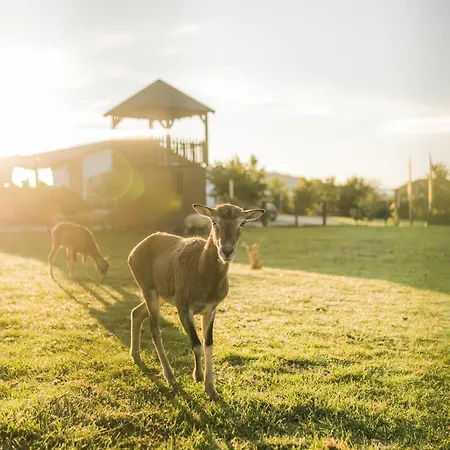 Hof Koehne - Hexenhaus בית נופש שמאלנברג