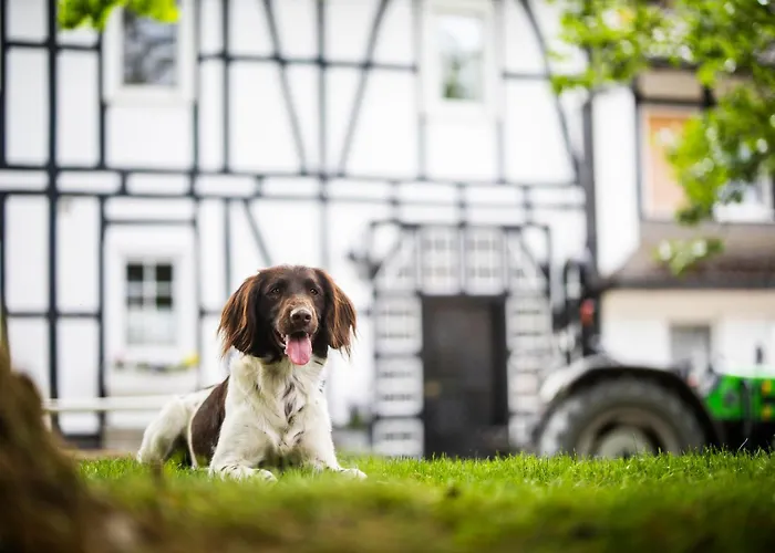 Hof Koehne - Hexenhaus Schmallenberg