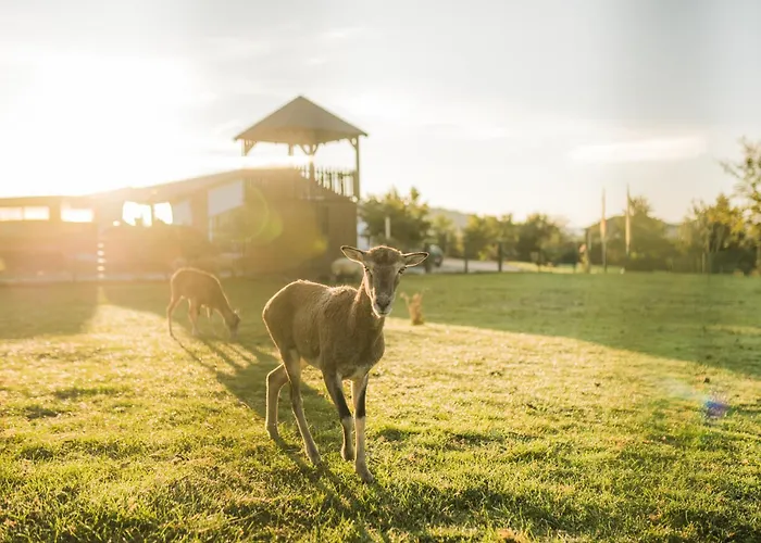 Hof Koehne - Hexenhaus Σπίτι διακοπών Schmallenberg
