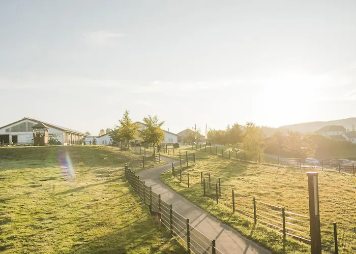 Hof Koehne - Hexenhaus Σπίτι διακοπών Schmallenberg