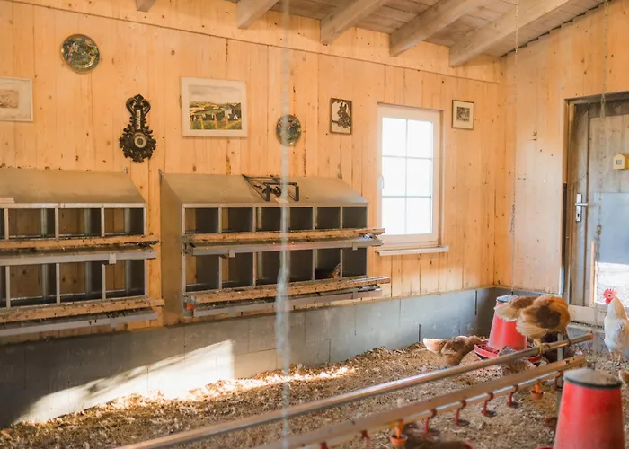 Σπίτι διακοπών Hof Koehne - Hexenhaus *