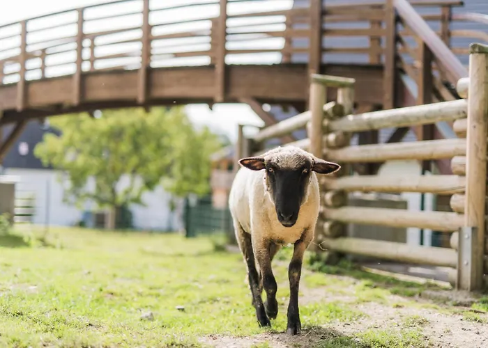 Hof Koehne - Hexenhaus Σπίτι διακοπών *