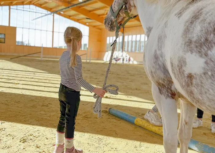 Σπίτι διακοπών Hof Koehne - Hexenhaus Schmallenberg